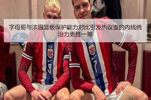 字母哥与浓眉篮板保护能力对比引发热议谁的内线统治力更胜一筹